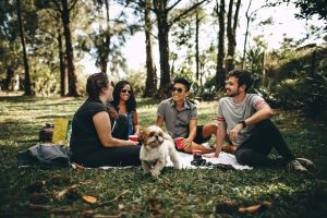 Students moving to Canada having a picnic in a park